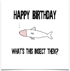 5033_cockroach_birthday