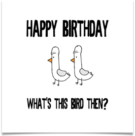 5034_cockatoo_birthday